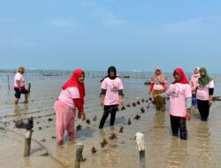 Srikandi Ganjar Tunjukkan Kepedulian Lewat Pelatihan Budi Daya Rumput Laut di Lampung Selatan