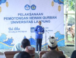 Unila Adakan Kurban 32 Sapi dan 17 Kambing