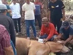 Anggota DPRD Lampung Ini Berkurban di Tulangbawang