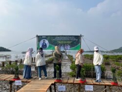 Unila Gelar Ekspedisi Replantasi Mangrove dalam Peringatan Hari Mangrove Sedunia