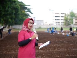 Lomba Menanam Sayuran Meriahkan HUT ke-25 DWP dan Hari Ibu ke-96