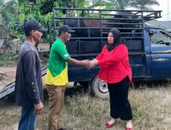 Ferliska Berikan Hewan Qurban untuk Desa Raman Fajar