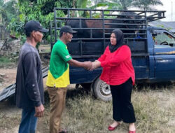 Ferliska Berikan Hewan Qurban untuk Desa Raman Fajar