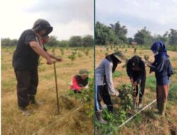 Unila dan PT GGP Jalin Kerja Sama Wujudkan Solusi Ramah Lingkungan Atasi Serangan Nematoda pada Guava Kristal